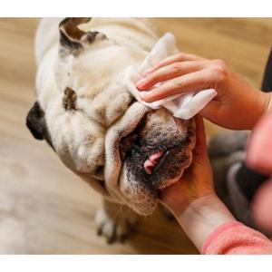 Salviette per animali - klevenpet