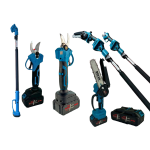 Kit sega e forbice a batteria con asta telescopic...