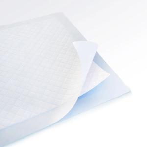 Traversine igieniche adesive assorbenti 60x60 cm – 40 pezzi per animali