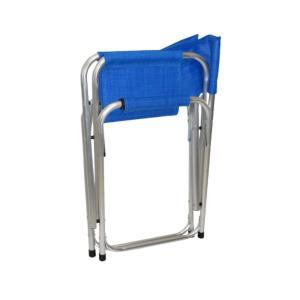 Sedia da regista blu