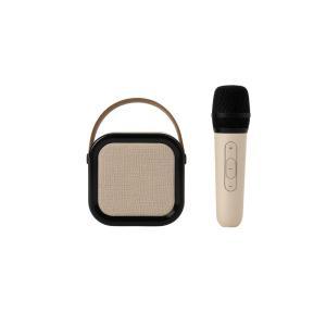 Cassa bluetooth karaoke con microfono