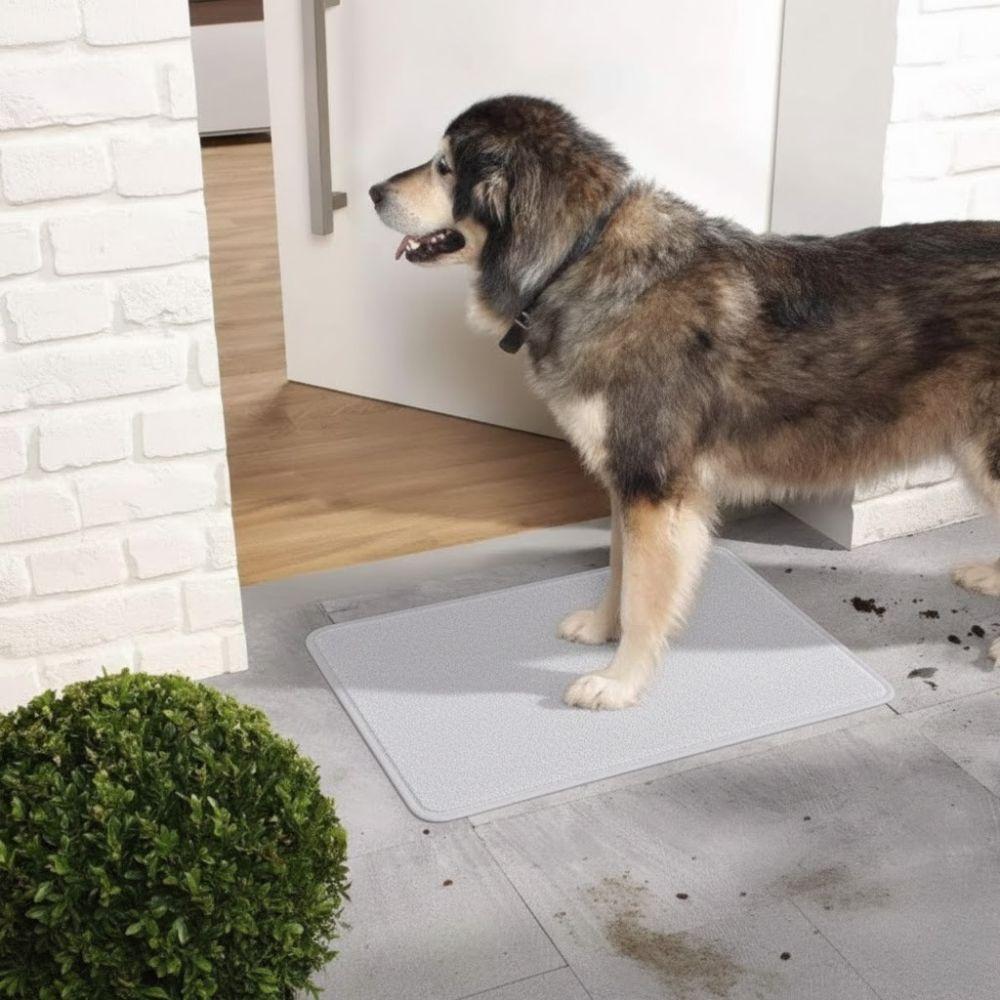  tappeto assorbente antisporco multiuso per casa 50x80 cm ad alta assorbenza - foto 5