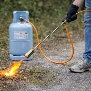 Cannello bruciatore professionale