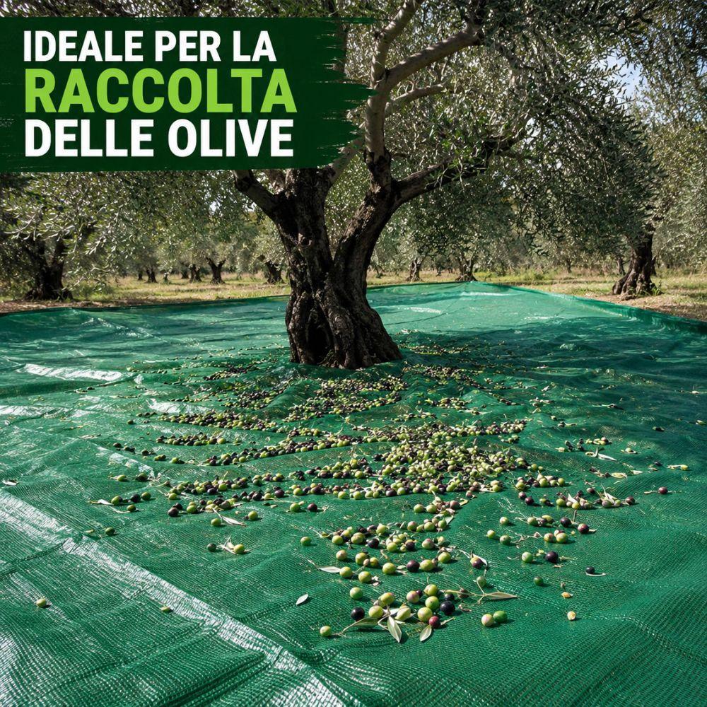 telo antispina per raccolta olive rete verde resistente disponibile in 3 misure - foto 2 telo antispina per raccolta olive rete verde resistente disponibile in 3 misure - foto 2