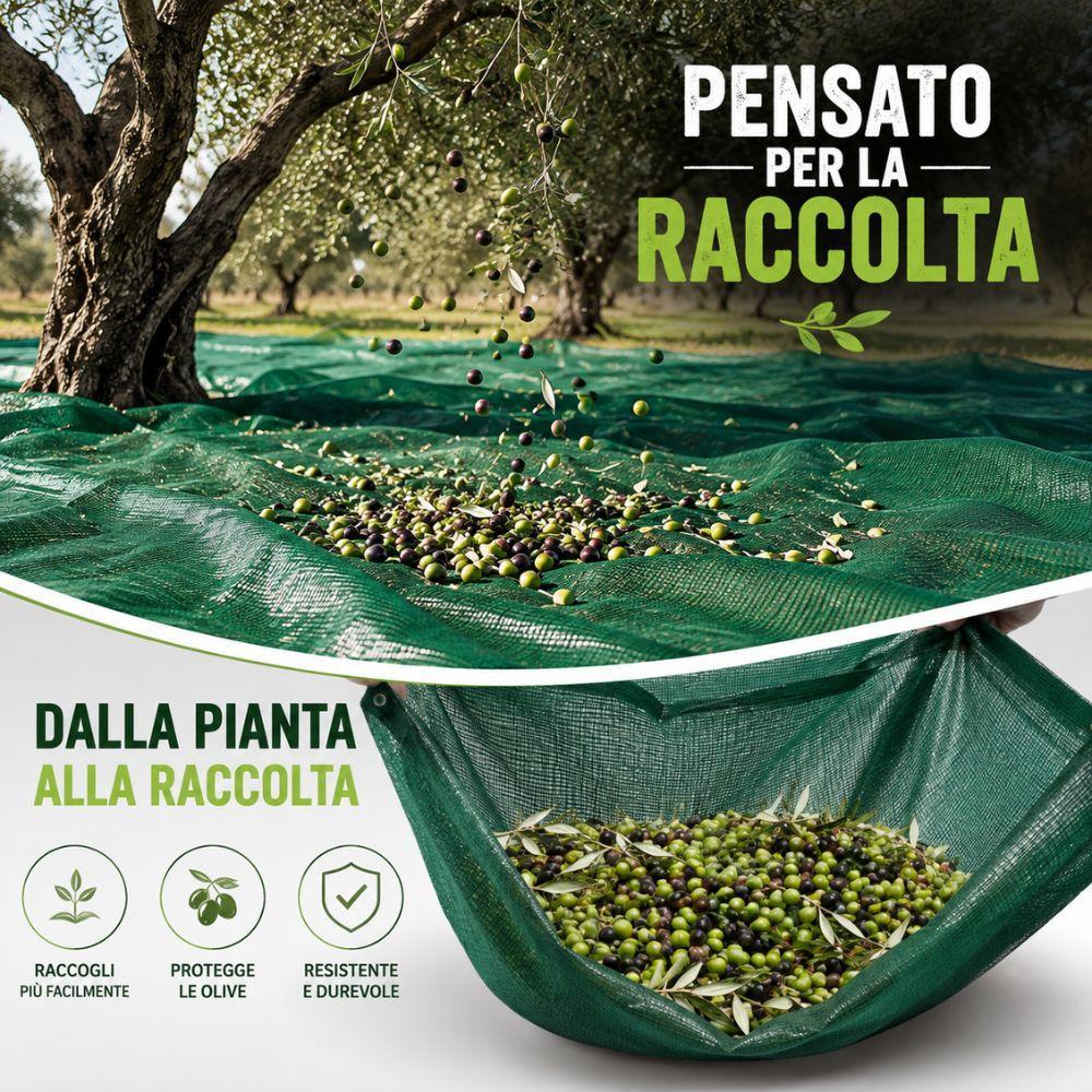 telo antispina per raccolta olive rete verde resistente disponibile in 3 misure - foto 3 telo antispina per raccolta olive rete verde resistente disponibile in 3 misure - foto 3