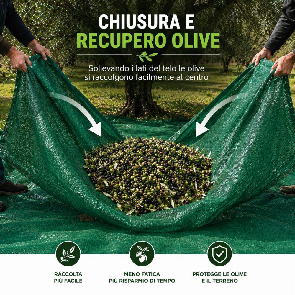 telo antispina per raccolta olive rete verde resistente disponibile in 3 misure - foto 4 telo antispina per raccolta olive rete verde resistente disponibile in 3 misure - foto 4