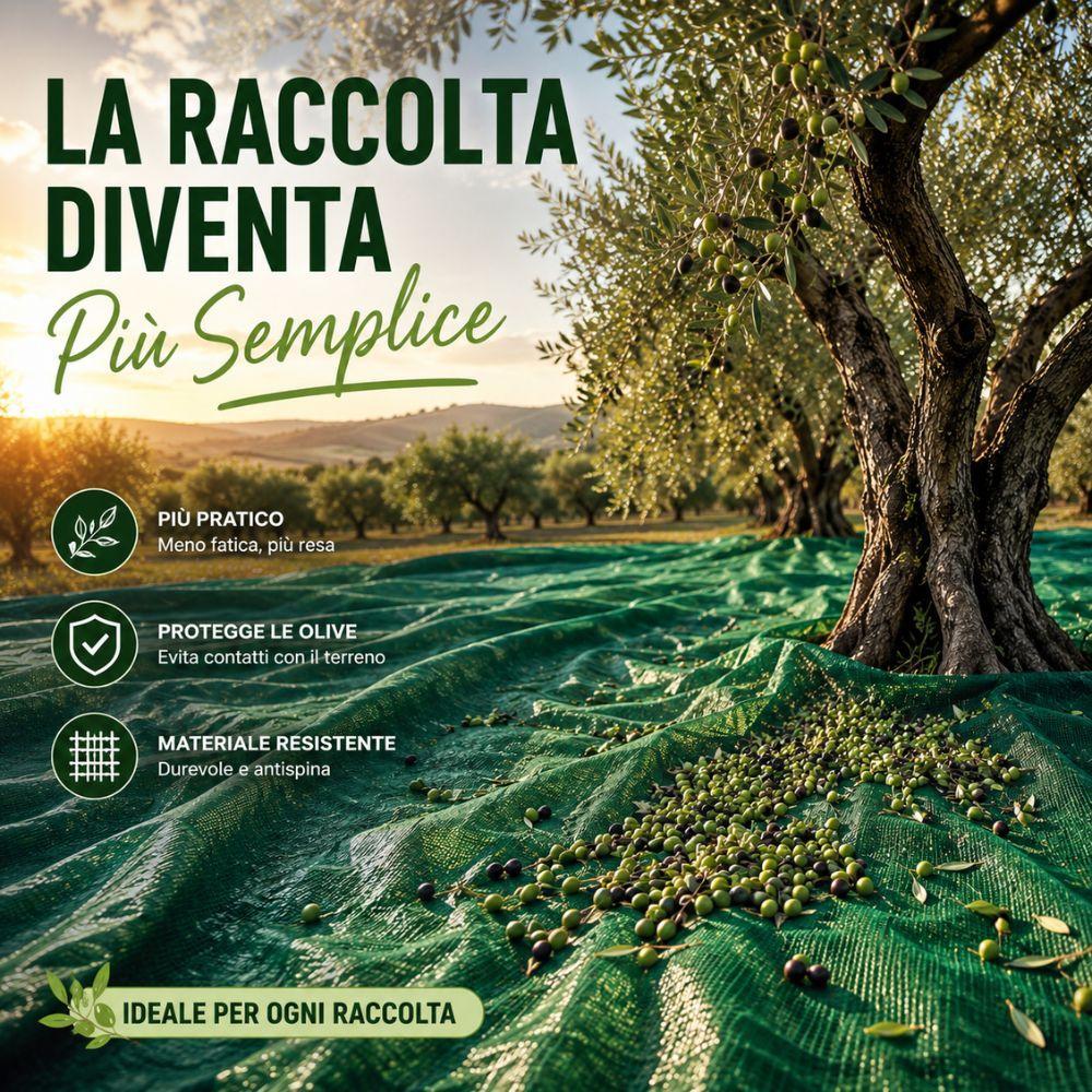 telo antispina per raccolta olive rete verde resistente disponibile in 3 misure - foto 5 telo antispina per raccolta olive rete verde resistente disponibile in 3 misure - foto 5