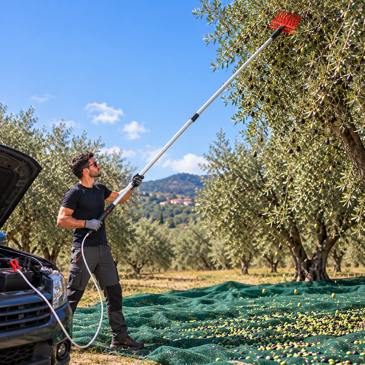  abbacchiatore per olive telescopico fino a 3 metri con cavo 10 metri - foto 3